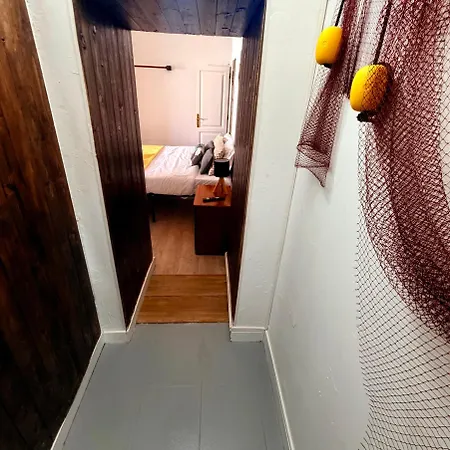 Dmcais Pdl Homestay
